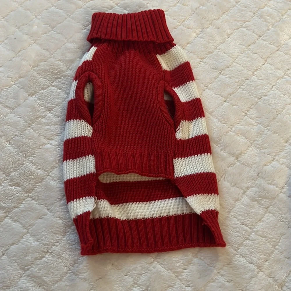 Santa dog sweater
